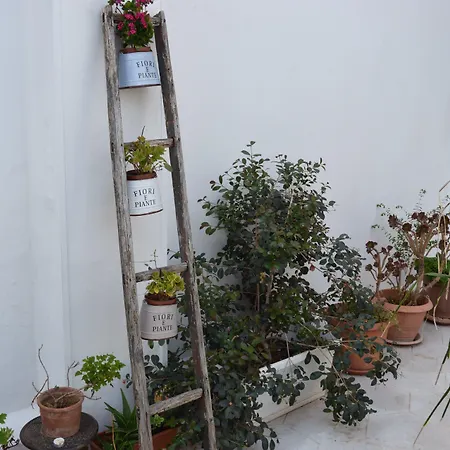 A Casa Di Mich