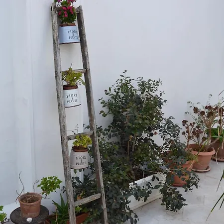 A Casa Di Mich Apartment *