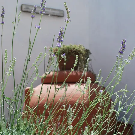 A Casa Di Mich Apartamento *