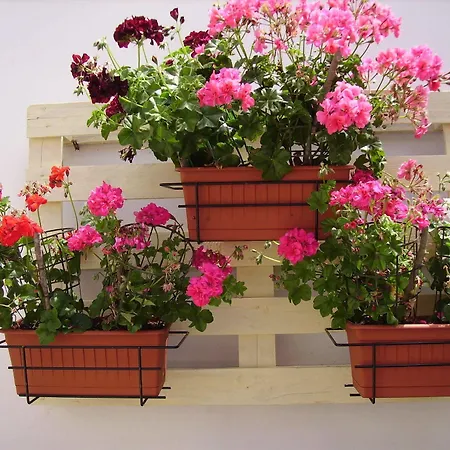 Apartamento A Casa Di Mich